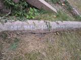 image of grave number 581908